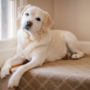 Meet your Posher, Kristen